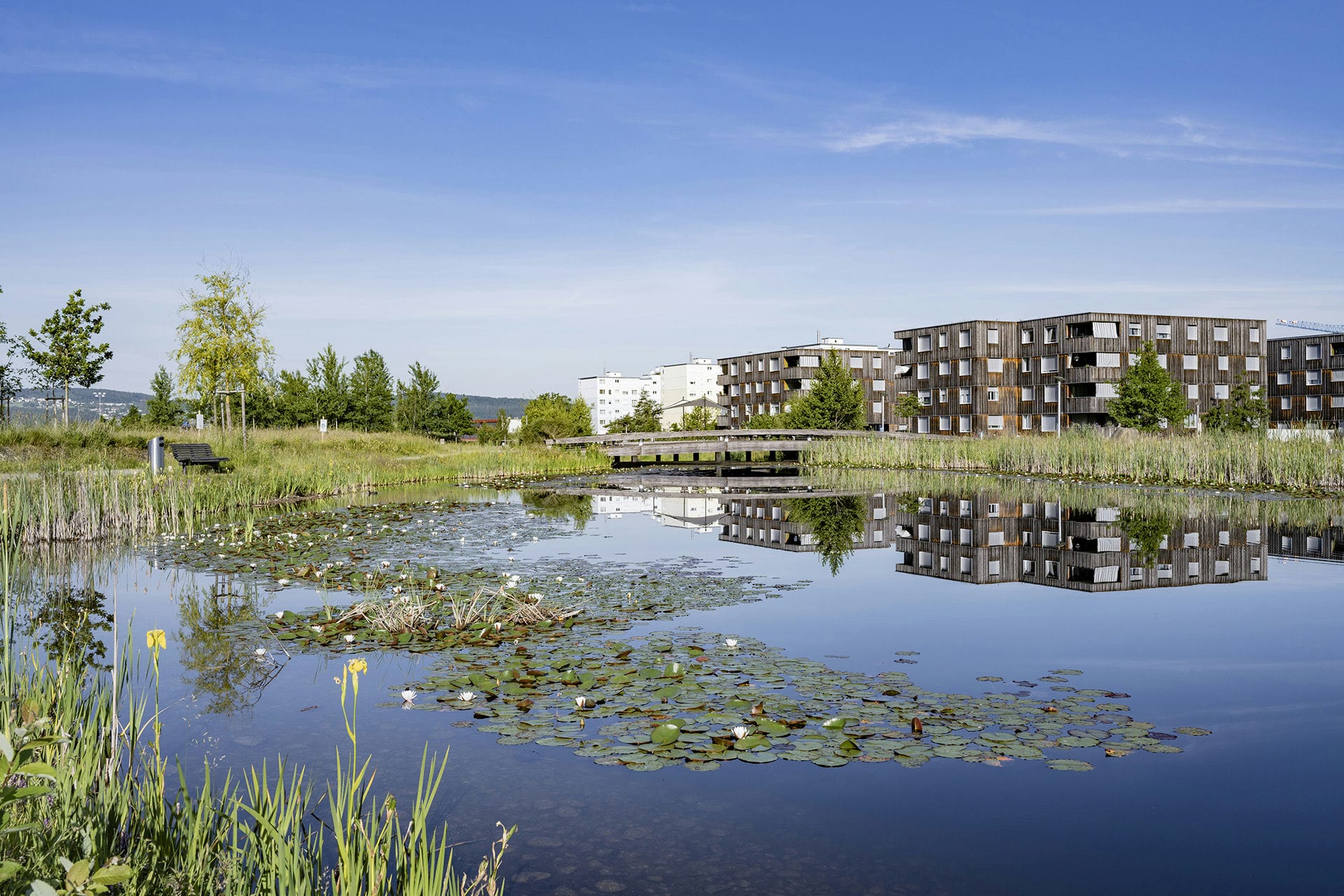 Griespark Holzbrücke