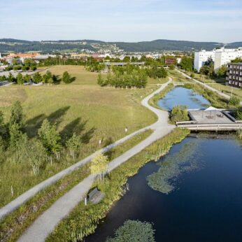 Griespark Holzbrücke